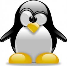 google penguin